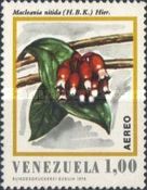 Macleania nitida