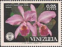 Cattleya gaskelliana