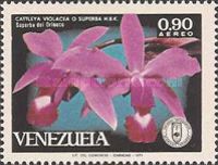 Cattleya violacea