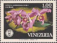 Cattleya lawrenceana