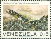 Chicken Snake (Spilotes pullatus)