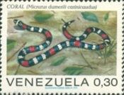 Coral Snake (Micrurus dumerili carinicaudus)
