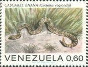 Uracoan Rattlesnake (Crotalus vegrandis)