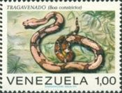 Boa Constrictor (Boa constrictor)