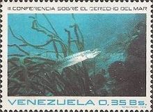 Great Barracuda (Sphyraena barracuda)