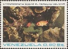 Coral Reef