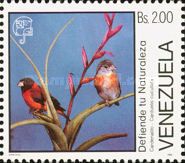 Red Siskin (Carduelis cucullata)