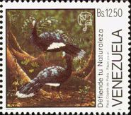 Helmeted Curassow (Pauxi pauxi)