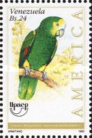 Yellow-shouldered Parrot (Amazona barbadensis)
