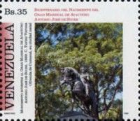 Top of Equestrian Monument