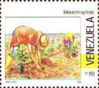 Vegetable growing