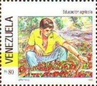 Vegetable harvesting