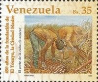 Harvesting of Sugar Cane
