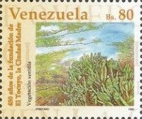 Dry vegetation