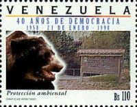 Environmental Protection, Spectacled Bear