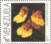 Oncidium orthostates