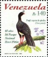 Helmeted Curassow (Crax pauxi)