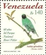 Swallow Tanager (Tersina viridis)