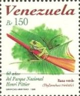 Leaf-nesting Frog (Phyllomedusa trinitatis)