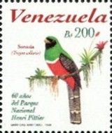 Collared Trogon (Trogon collaris)