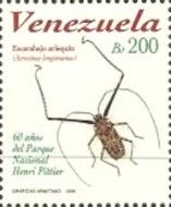 Harlequin Beetle (Acrocinus longimanus)