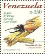 Hercules Beetle (Dynastes hercules)