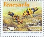 Yellow-banded poison dart frog (Dendrobates leucomelas)