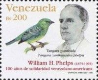 Phelps - Yellow-bellied Tanager (Tangara xanthogastra phelps