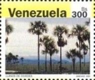 Nature of Venezuela - Llanos of Cojedes