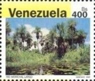 Nature of Venezuela - Morichal Largo River