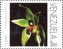 Sudamerlycaste longipetala