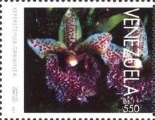 Kefersteinia graminea