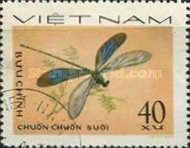 Stream Glory (Neurobavis chinensis)
