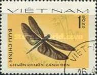 Butterfly Dragonfly (Rhyothemis fuliginosa)