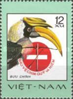 Great Hornbill (Buceros bicornis)