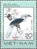 White-crowned Hornbill (Berenicornis comatus)