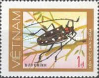 Rubber-root Borer (Batocera rubus)