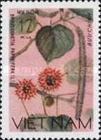 Paper mulberry (Broussonetia papvrifera)