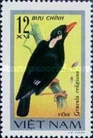 Common Hill Myna (Gracula religiosa)