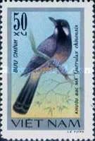 Black-throated Laughingthrush (Garrulax chinensis)