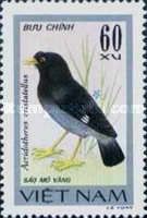 Crested Myna (Acridotheres cristatellus)