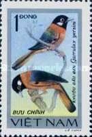 Collared Laughingthrush (Garrulax yersini)