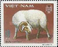 Ram (Ovis ammon aries)