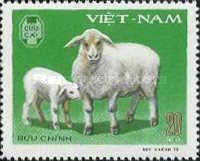 Domestic Sheep (Ovis ammon aries)