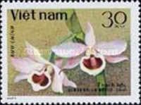 Dendrobium nobile
