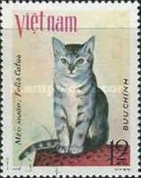 Tabby Cat - Meo muop