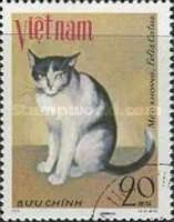 Meo Khoang (Felis silvestris catus)