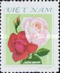 Red and pink roses