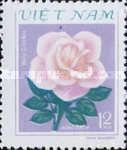 Single pink rose