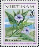 Ipomoea reptans